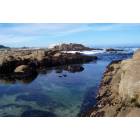 Monterey: Seashore of Monterey, CA