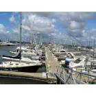 Mount Pleasant: Charleston Harbor Marina in Mt. Pleasant