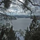 Lake Arrowhead: : winter lake arrowhead