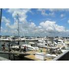 Mount Pleasant: Charleston Harbor Marina