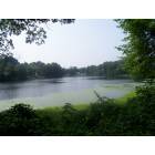 Framingham: Gleason Pond