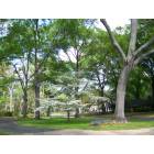 Tyler: Tyler Neighborhood