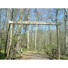 Poland: Poland Village Forest-Entrance