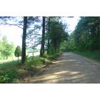 Ranburne: : A soothing ride on a dirt road lifts the heart and eases the stress of life for me