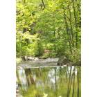 Naugatuck: One of Many Streams in Naugatuck