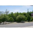 Naugatuck: Rubber Avenue, Naugatuck