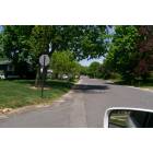 Naugatuck: A Typical Neighborhood in Naugatuck
