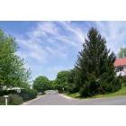 Naugatuck: A Typical Neighborhood in Naugatuck