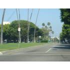 Beverly Hills: : Burton Way