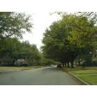 Highland Park: Residential street in Highland Park, Tx.