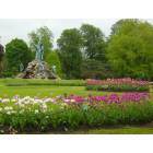 Albany: : Tulip Festival in Washington Park with Flat Stanley