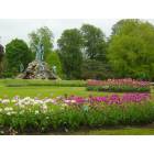 Albany: Tulip Festival in Washington Park with Flat Stanley