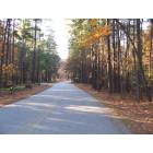 Cary: Umstead State Park, Reedy Creek Entrance