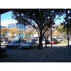 Addison: Village on the Parkway