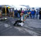 Crested Butte: Mardi Gras Parade