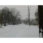 Rochelle Ave. during blizzard 2003