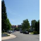 Clyde: Clyde looking upTrafalgar Cir from Wellington Ave.