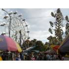 Baldwin City: : Carnival at the Maple Leaf Festival