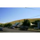 Heppner: Homes....