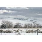 Tehachapi: : blanket of snow