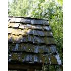 Amador City: Wood shake roof