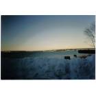 Portland: casco bay,winter