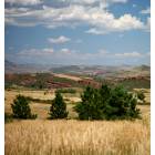 Fort Collins: : Lory State Park