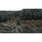 Warner Valley: Deep Creek in the fall ....Great trout fishing.....