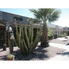 Scottsdale: : Outside Of Scottsdale Gallery District