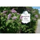 Campton: Lilacs in June