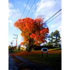 Orono: Fall in Orono, College Ave