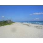 Port St. Lucie: lonely beach 10 min drive from port st lucie take the dog