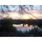 Palo Verde: Palo Verde Lagoon at Sunset