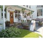 Chester: misty valey books