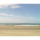 Isle of Palms: On the beach, June 2004