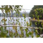 Crestline: Fall at Lake Gregory, Crestline