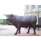 Durham: Downtown Durham - Bronze Bull Statue in CCB Plaza