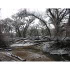 Prescott: Winter at Watson lake