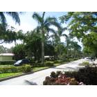 Miami Shores: Grand Concourse Miami Shores