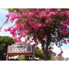 Laguna Hills: Laguna Hills Lodge