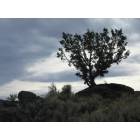 Diamond: In the High Desert.....