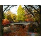 Naperville: : Fall Color in Naperville