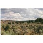 Diamond: Sagebrush & Juniper....
