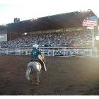 Hastings: Oregon Trail Rodeo