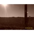 Grabill: Grabill Country