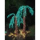 Bellevue: : Garden d'light - Palm trees
