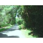 Honokaa: Kahana Drive, Ahualoa in Honoka'a, Hawai'i