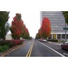 Portland: Autumn in Portland