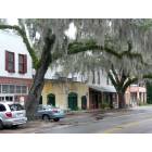 Micanopy: Downtown