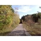 Boston Heights: Bike trail in Cuyahoga Valley
